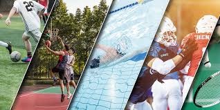 解析明尼苏达双城队如何利用球场构造减少北境寒流的干扰